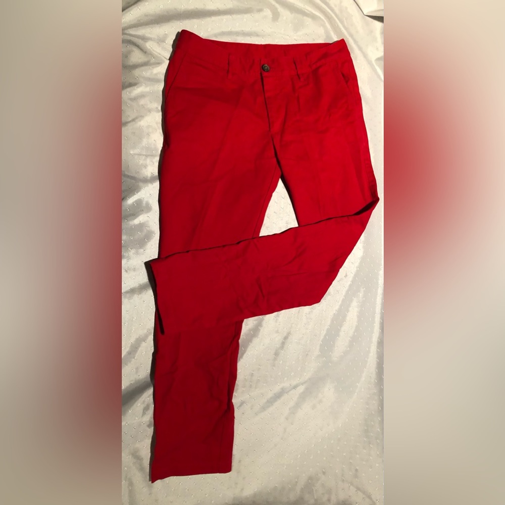 Saint Harridan pants. Like new.